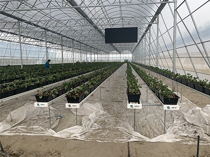 浙江德清中蘇科技項(xiàng)目