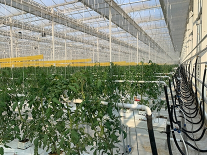 浙江莫干山水木九天項(xiàng)目