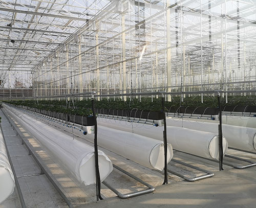 植物根部通風(fēng)循環(huán)系統(tǒng)