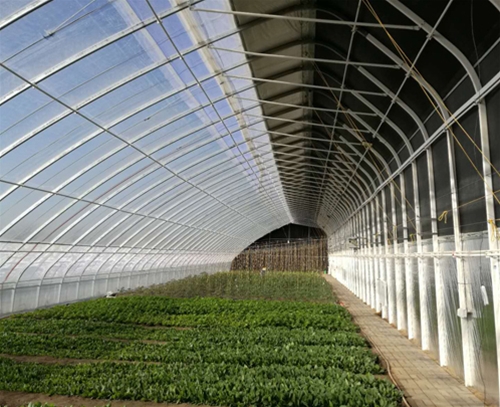 新型柔性保溫墻體日光溫室