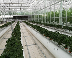 植物根部通風(fēng)循環(huán)系統(tǒng)