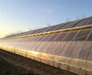 新型柔性保溫墻體日光溫室